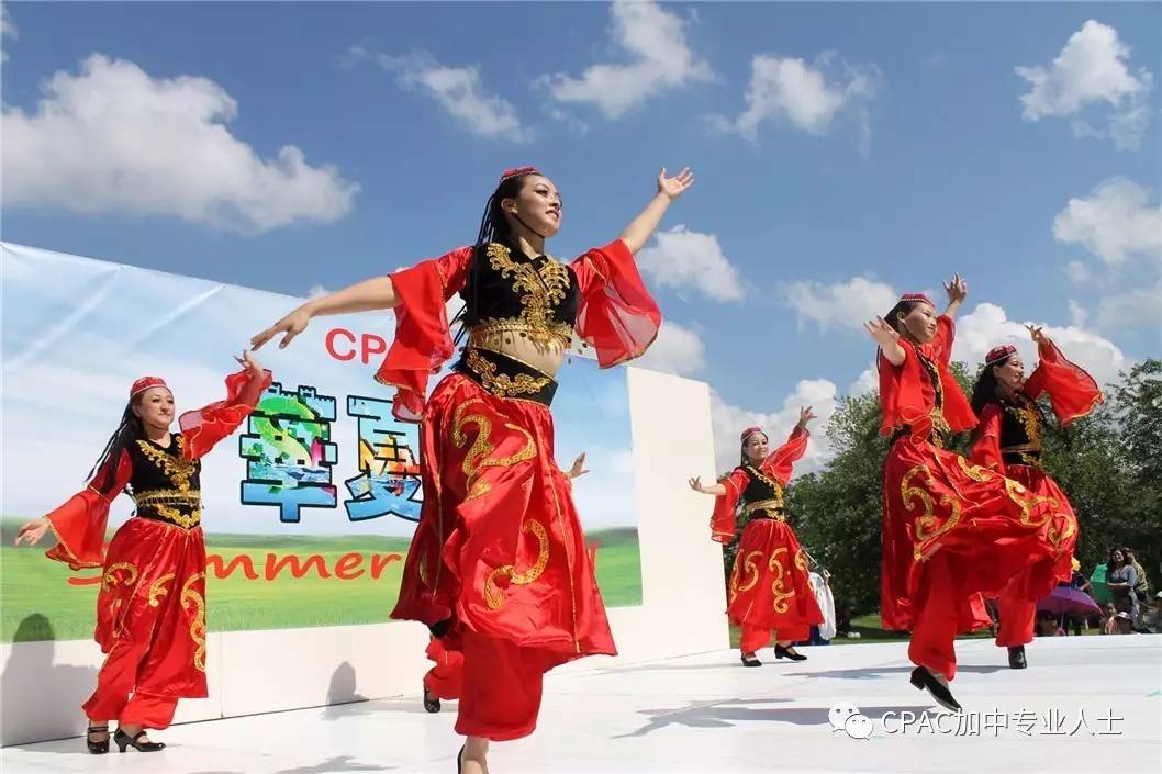 华夏豪取三分，榜首宝座稳如泰山的简单介绍